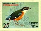 BLUE WINGED PITTA 0763 Indian Post