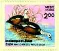 WHITE WINGED WOOD DUCK 1159 Indian Post