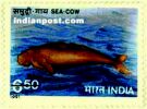 SEA COW 1442 Indian Post