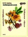 YELLOW SILK INDIAN TREE 1549 Indian Post