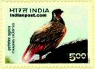 BLOOD PHEASANT 1665 Indian Post