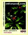 INDIAN MEDICINAL PLANTS - SARPAGANDHA 1749 Indian Post