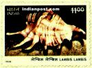SEA SHELL OF INDIA (LAMBIS LAMBIS) 1833 Indian Post
